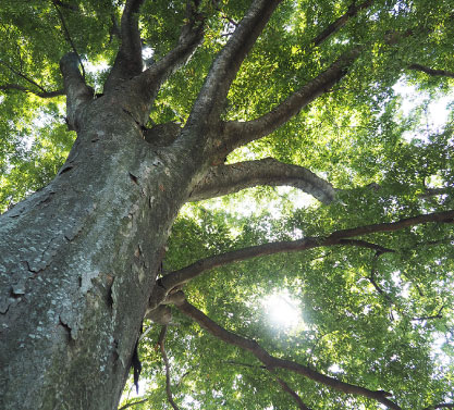 高橋工務店の家づくり・選ばれる理由